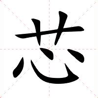 芯字五行|芯怎么读